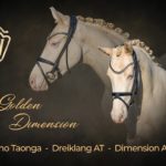 Golden Dimension