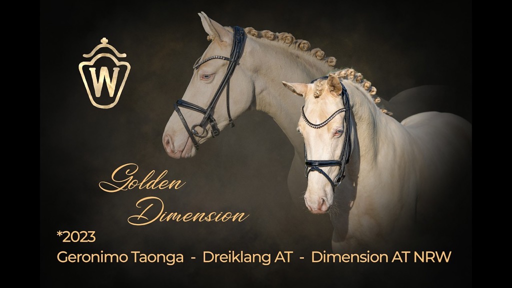 saksalainen ratsuponi